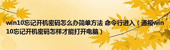 win10忘记开机密码怎么办简单方法 命令行进入(通报win10忘记开机密码怎样才能打开电脑)