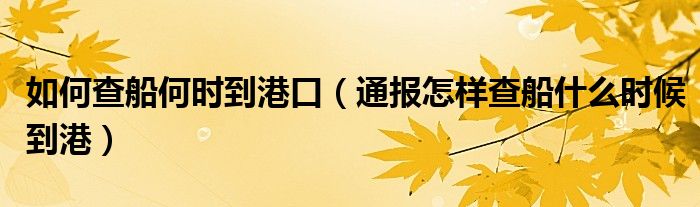 如何查船何时到港口(通报怎样查船什么时候到港)
