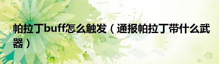 帕拉丁buff怎么触发(通报帕拉丁带什么武器)