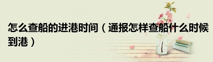 怎么查船的进港时间(通报怎样查船什么时候到港)