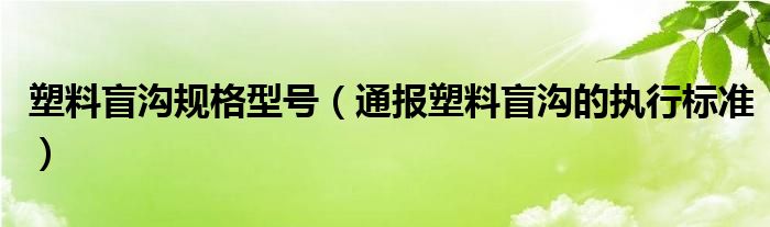 塑料盲沟规格型号(通报塑料盲沟的执行标准)