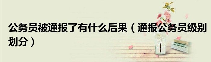 公务员被通报了有什么后果(通报公务员级别划分)