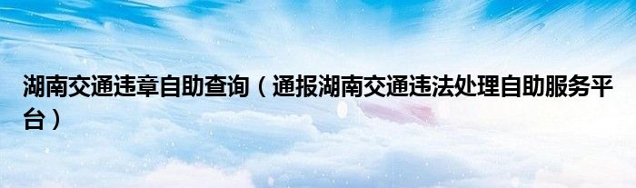 湖南交通违章自助查询(通报湖南交通违法处理自助服务平台)