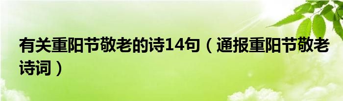 有关重阳节敬老的诗14句(通报重阳节敬老诗词)