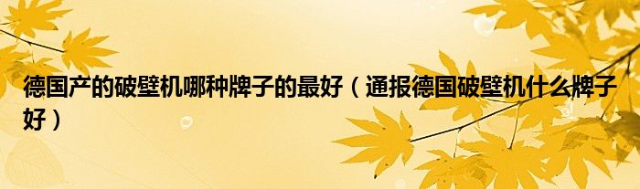 德国产的破壁机哪种牌子的最好(通报德国破壁机什么牌子好)