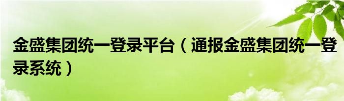 金盛集团统一登录平台(通报金盛集团统一登录系统)