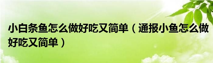 小白条鱼怎么做好吃又简单(通报小鱼怎么做好吃又简单)