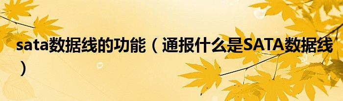 sata数据线的功能(通报什么是SATA数据线)