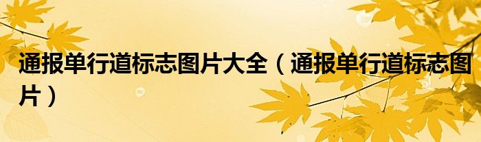 通报单行道标志图片大全(通报单行道标志图片)