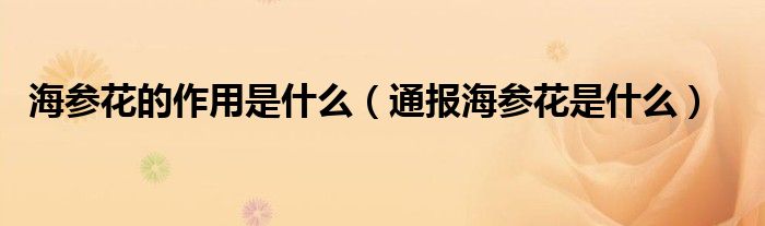 海参花的作用是什么(通报海参花是什么)