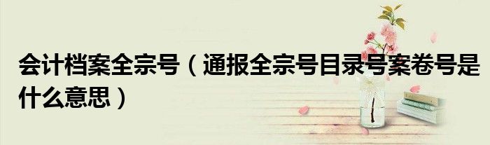 会计档案全宗号(通报全宗号目录号案卷号是什么意思)