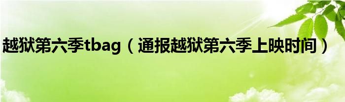 越狱第六季tbag(通报越狱第六季上映时间)