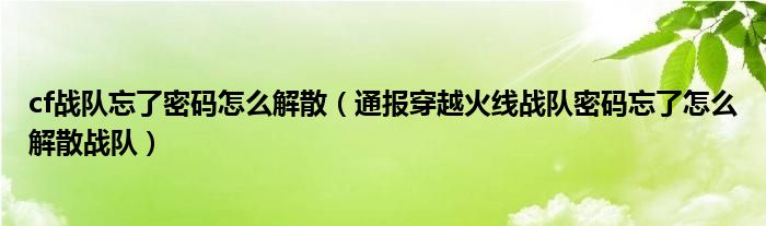 cf战队忘了密码怎么解散(通报穿越火线战队密码忘了怎么解散战队)