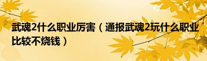 武魂2什么职业厉害(通报武魂2玩什么职业比较不烧钱)