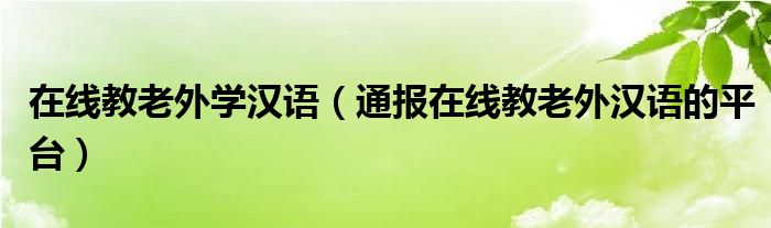 在线教老外学汉语(通报在线教老外汉语的平台)