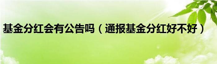 基金分红会有公告吗(通报基金分红好不好)