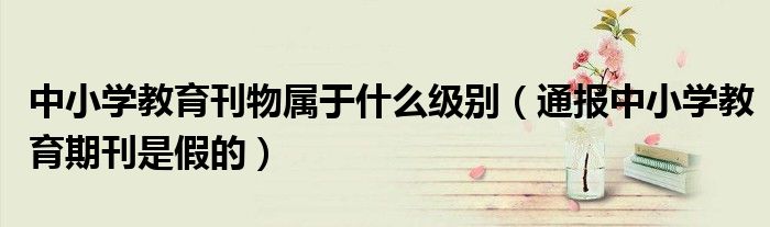 中小学教育刊物属于什么级别(通报中小学教育期刊是假的)