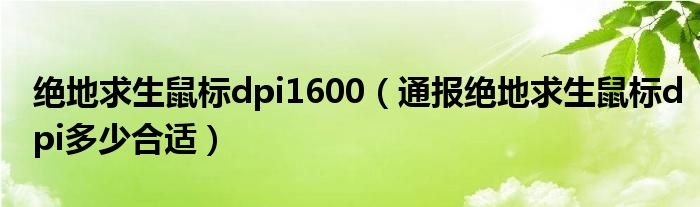 绝地求生鼠标dpi1600(通报绝地求生鼠标dpi多少合适)