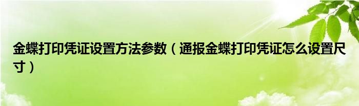 金蝶打印凭证设置方法参数(通报金蝶打印凭证怎么设置尺寸)
