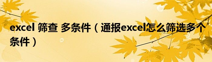 excel 筛查 多条件(通报excel怎么筛选多个条件)