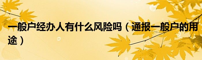 一般户经办人有什么风险吗(通报一般户的用途)