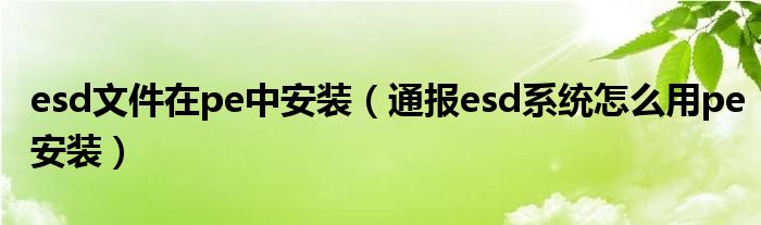 esd文件在pe中安装(通报esd系统怎么用pe安装)
