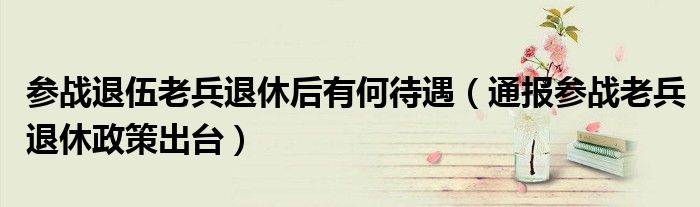 参战退伍老兵退休后有何待遇(通报参战老兵退休政策出台)