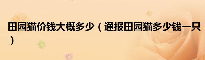 田园猫价钱大概多少(通报田园猫多少钱一只)