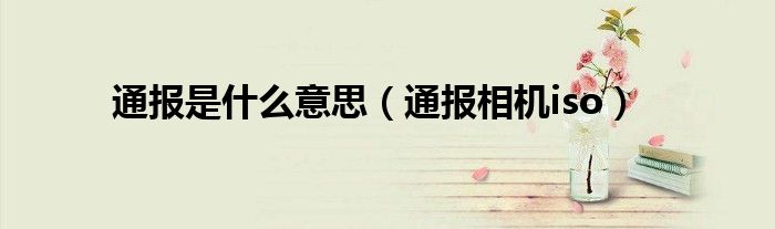 通报是什么意思(通报相机iso)