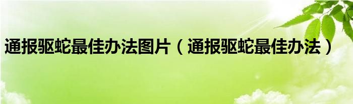 通报驱蛇最佳办法图片(通报驱蛇最佳办法)