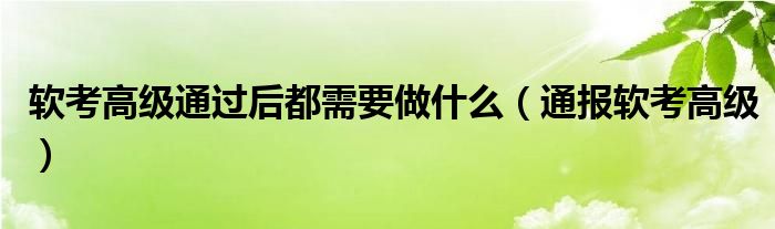 软考高级通过后都需要做什么(通报软考高级)
