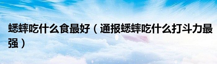蟋蟀吃什么食最好(通报蟋蟀吃什么打斗力最强)