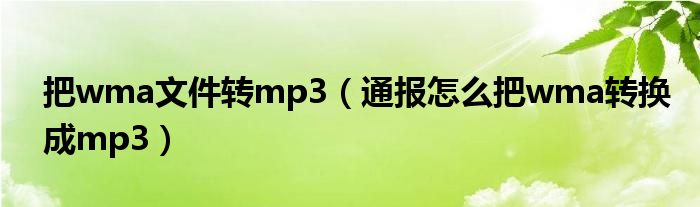 把wma文件转mp3(通报怎么把wma转换成mp3)