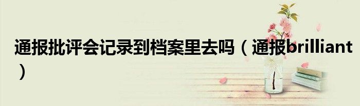 通报批评会记录到档案里去吗(通报brilliant)