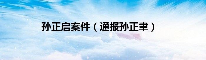 孙正启案件（通报孙正聿）