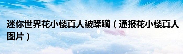 迷你世界花小楼真人被蹂躏(通报花小楼真人图片)