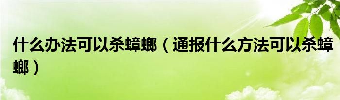 什么办法可以杀蟑螂(通报什么方法可以杀蟑螂)