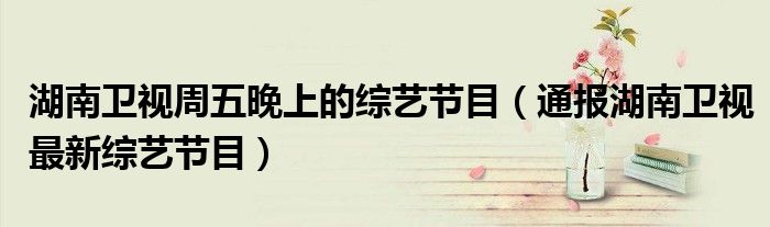 湖南卫视周五晚上的综艺节目(通报湖南卫视最新综艺节目)