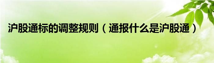 沪股通标的调整规则(通报什么是沪股通)