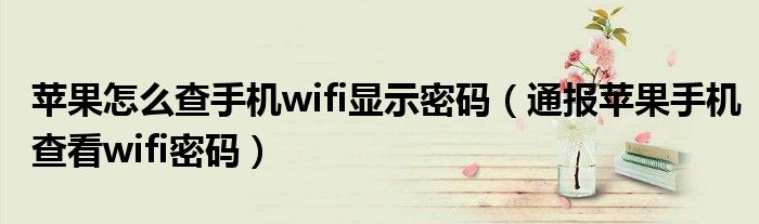 苹果怎么查手机wifi显示密码(通报苹果手机查看wifi密码)