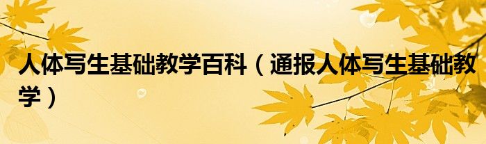 人体写生基础教学百科(通报人体写生基础教学)