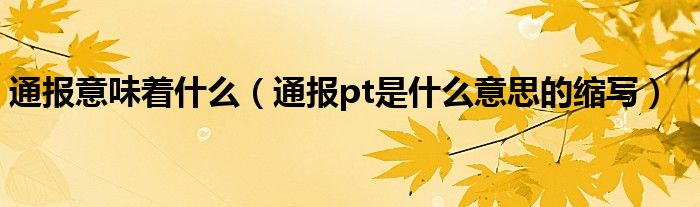 通报意味着什么(通报pt是什么意思的缩写)