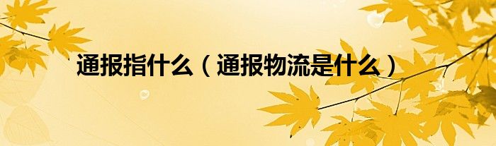 通报指什么(通报物流是什么)