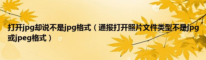 打开jpg却说不是jpg格式(通报打开照片文件类型不是jpg或jpeg格式)