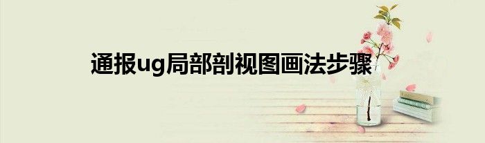 通报ug局部剖视图画法步骤