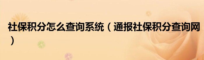 社保积分怎么查询系统(通报社保积分查询网)
