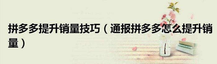 拼多多提升销量技巧(通报拼多多怎么提升销量)