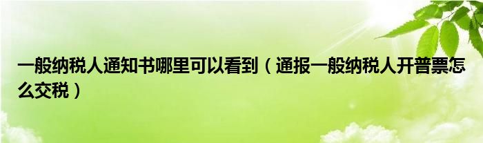 一般纳税人通知书哪里可以看到(通报一般纳税人开普票怎么交税)