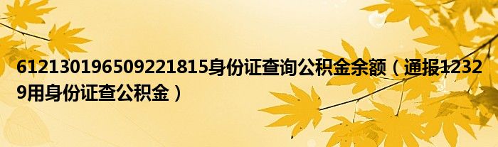 612130196509221815身份证查询公积金余额(通报12329用身份证查公积金)