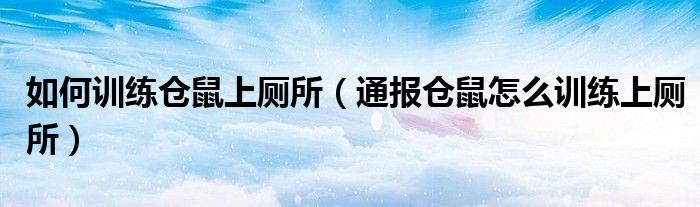 如何训练仓鼠上厕所(通报仓鼠怎么训练上厕所)